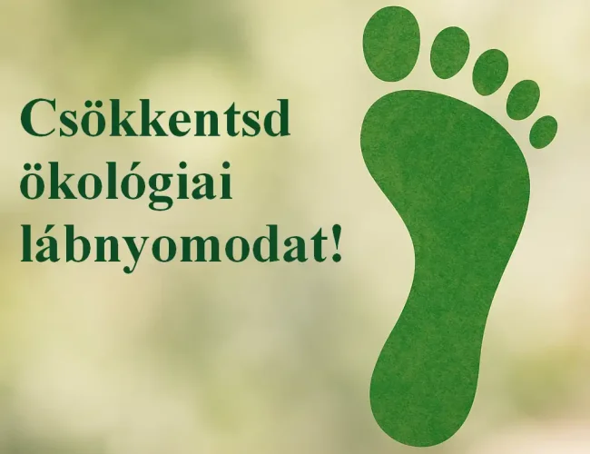 Zöld Horizont: csökkentsd ökológiai lábnyomodat!